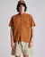 CAMISA DISCOVERY MARRON