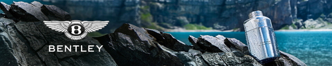 Banner de la categoría Bentley