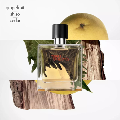 Decant Hermès Terre d'Hermès Pure Perfume (Parfum) - comprar en línea