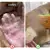 Escova a vapor Oficial - hawa Cat™ - Modelo Exclusivo + 50% OFF - hawa Prime