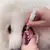 Imagem do Escova de Dente Pet - Dental Hawa™
