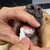 Escova de Dente Pet - Dental Hawa™ - hawa Prime