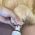 Lixa de Unha Pet Oficial - hawa wasy™ - loja online