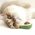 Hawa Nip™ - Diversão e Relaxamento para Seu Gato - comprar online