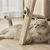 Hawa Nip™ - Diversão e Relaxamento para Seu Gato