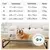 Cama Elevada Pet - hawa Luxe™ - Novidade 2024 - loja online