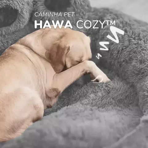 Caminha Pet Conforto perfeito - Hawa Cozy™