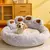 Caminha Pet Conforto perfeito - Hawa Cozy™ - loja online