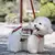 Bolsa de Passeio Pet - Hawa Wook™ - hawa Prime