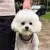 Imagem do Bolsa de Passeio Pet - Hawa Wook™