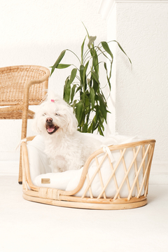 Imagem do Cama Pet Java