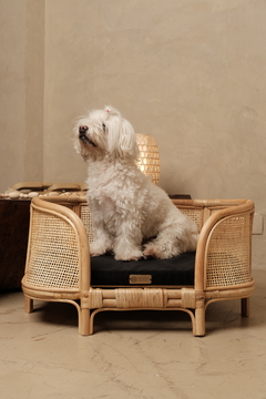 Cama Pet Sumatra