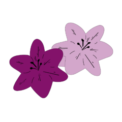 Categoria 4
