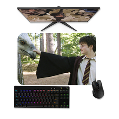 Mouse pad Harry Potter e Bicuço Buckbeak 1 - Mousepad Gamer 90x40 80x40 60x40 70x30 - RAIKG Store