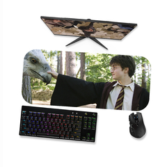 Mouse pad Harry Potter e Bicuço Buckbeak 1 - Mousepad Gamer 90x40 80x40 60x40 70x30 - loja online