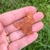 Mini Drusa de Cristal Tangerina - loja online
