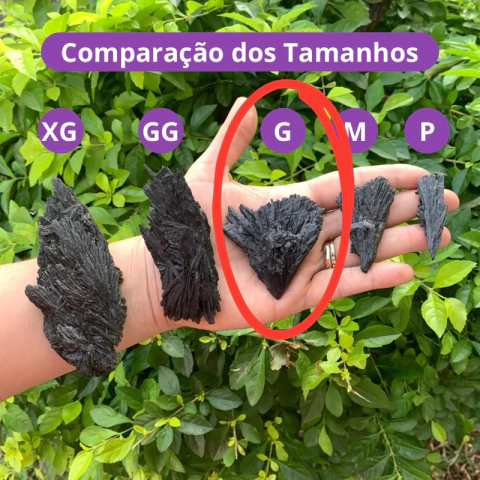 Cianita Negra Cristal Pedra Natural - G (Unidade)