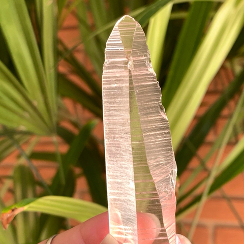 Lemuriano Cristal Verdadeiro Peça Única LU2