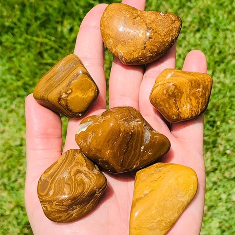 Jaspe Madeira / Jaspe Amarela Cristal Pedra Rolada Natural - G (Unidade)