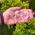 100g Quartzo Rosa (2-3cm) Bruto Natural