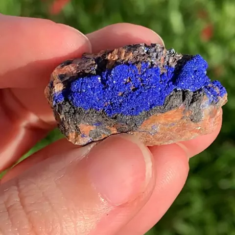 Azurita Importada de Denver, EUA Peça Única - N8