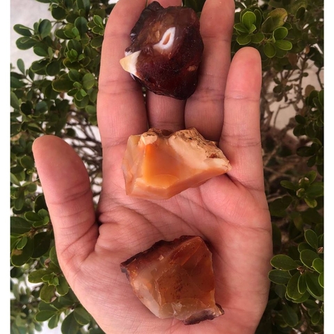 Agata Cornalina Bruta Pedra Natural - M (Uma Unidade Entre 25 a 40 gramas )