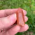Mini Pontinha de Quartzo Tangerina Lemuriano U6 na internet