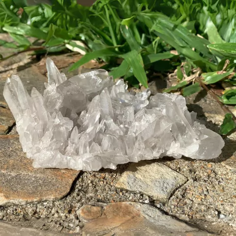 Drusa Lemuriana Laser Autocurada 0,304kg