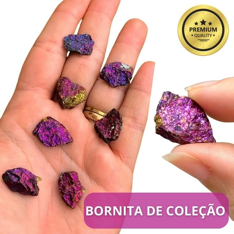 Várias pedras brutas de Bornita, com tons de roxo e dourado, sendo seguradas na palma da mão.