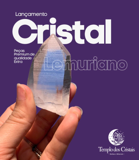 Carrossel 1