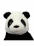 Oso panda de peluche - comprar en línea