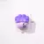 Brocha Patita - comprar online