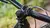Herramienta Integrada Bontrager BITS - tienda online