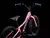 Precaliber 16 - tienda online