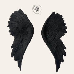 Imagen de Alas Crespas