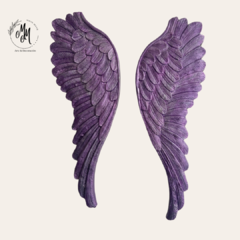 Imagen de Alas de Ángel