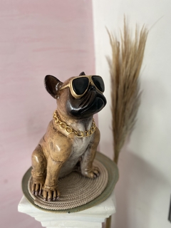 Bulldog francés con gafas - tienda online