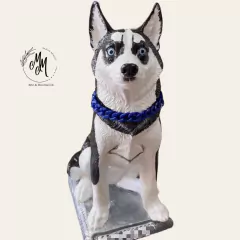 Imagen de Husky Siberiano