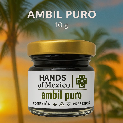 Ambil · Ancestral 10 G - buy online