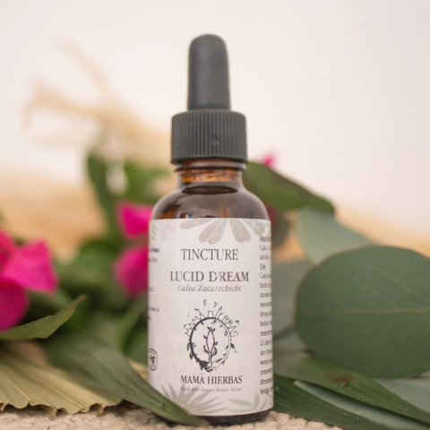 Calea Zacatechichi · Lucid Dreaming - buy online