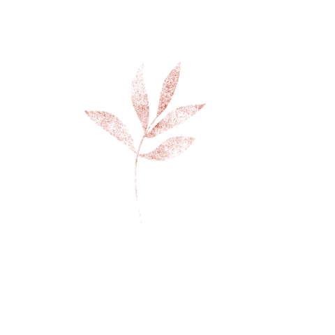 Laizar Cosméticos