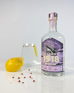 GIN REFORMA 1918 - Dry Gin - comprar online