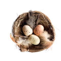 Ninho Decorativo c/ Ovos 10cm (BC002P)