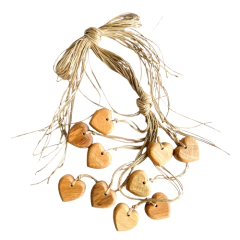 Penca Decorativa com 10 Corações 60cm