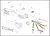 Mola do Êmbolo do Extrator Sig Sauer P320 - 1300521-R - comprar online