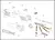 Percussor Sig Sauer P320 - 1301618-R - WW IMPORTS SHOOTING STORE