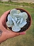 PACHYVERIA EXOTIC PT 9