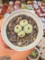 CONOPHYTUM 01 PT 9 (PLANTA SENSÍVEL AO ENVIO) - comprar online