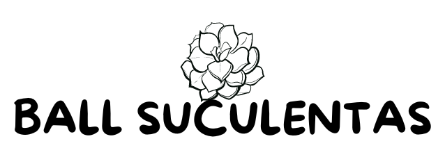 Ball Suculentas 