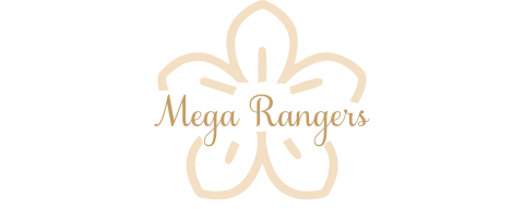 MEGA RANGERS - Atacado Moda Feminina Brás online 